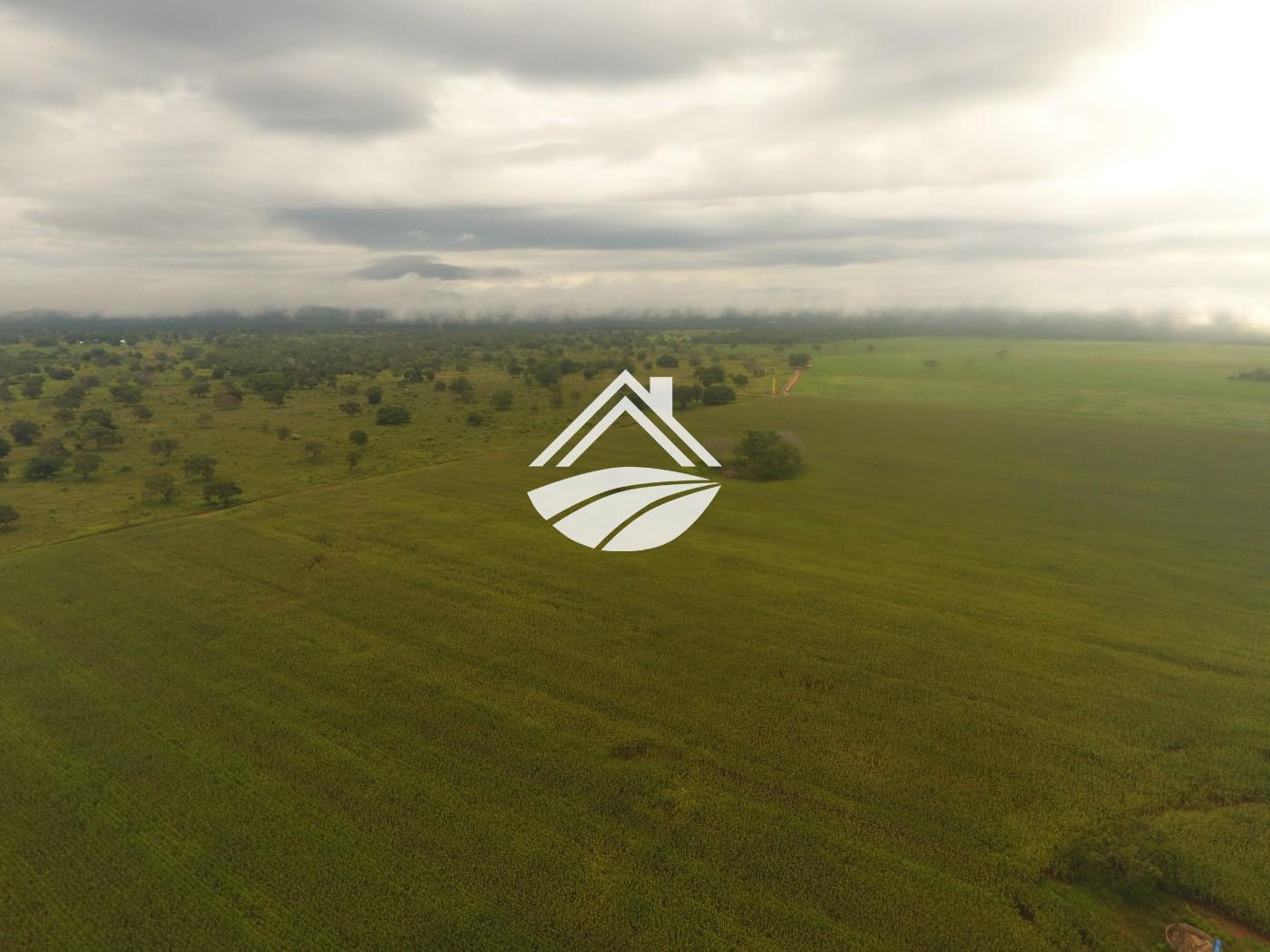 Fazenda à venda, 1m² - Foto 16