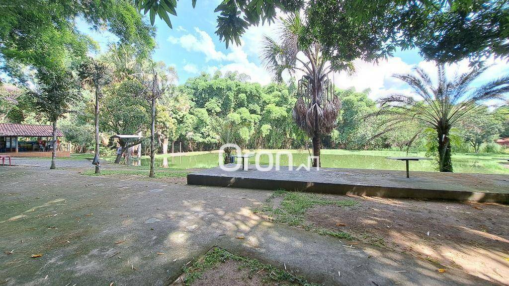 Chácara à venda com 4 quartos, 46000M2 - Foto 3