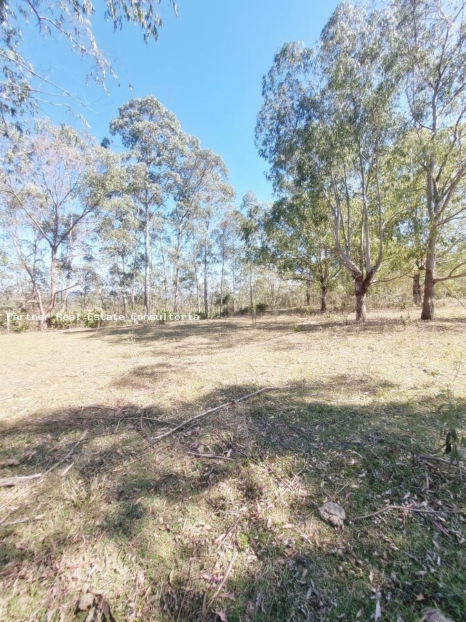 Chácara à venda com 4 quartos, 128462m² - Foto 9