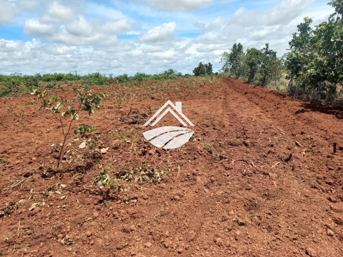 Fazenda à venda, 1m² - Foto 15