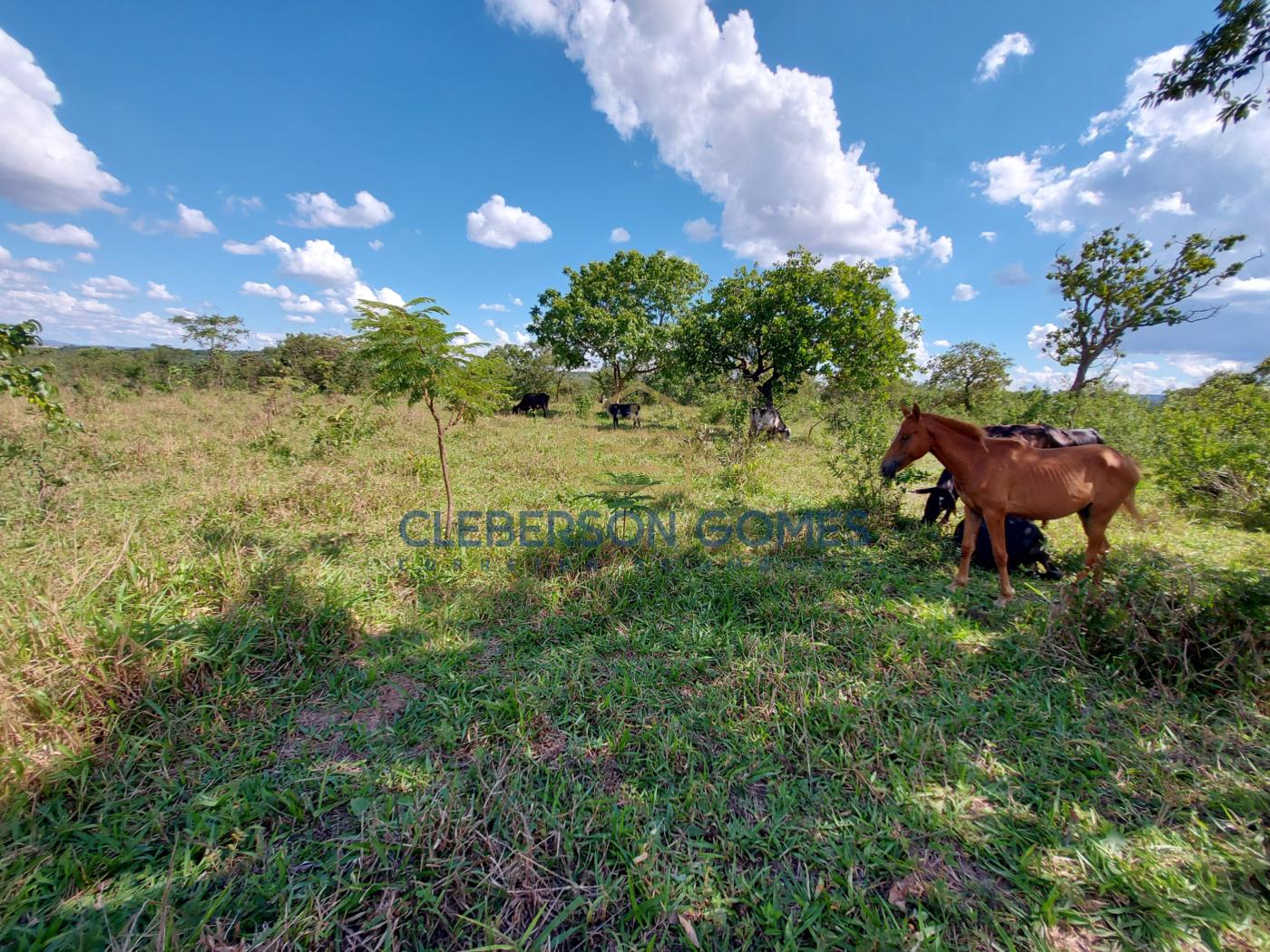 Chácara à venda, 46000m² - Foto 3
