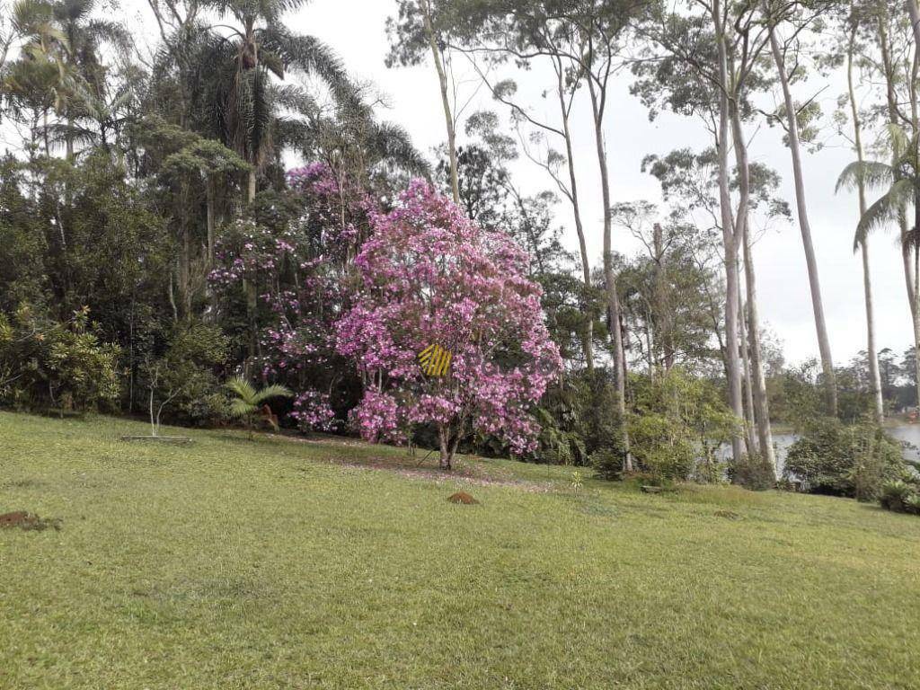 Chácara à venda e aluguel com 5 quartos, 700m² - Foto 1