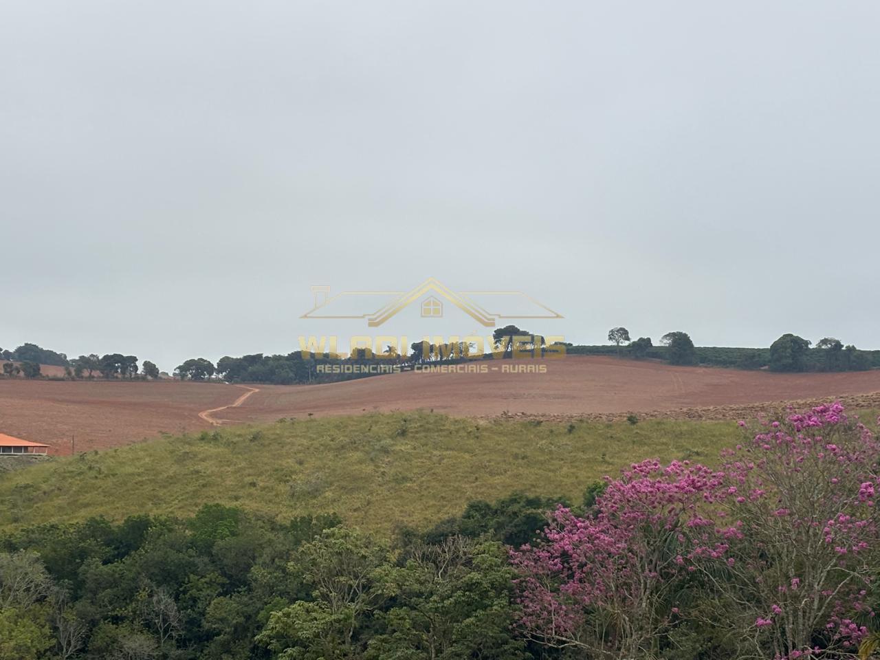 Fazenda à venda, 45m² - Foto 6