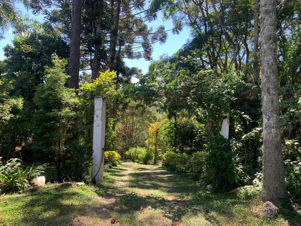 Sítio à venda com 3 quartos, 30831m² - Foto 8