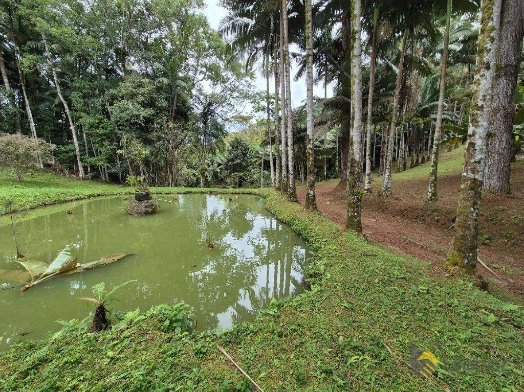 Sítio à venda com 3 quartos, 200m² - Foto 41