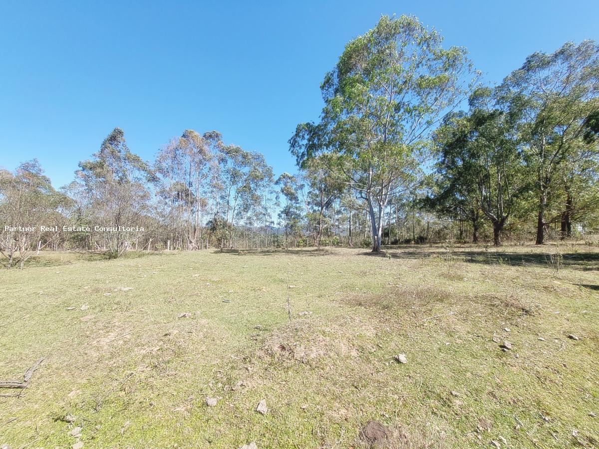 Chácara à venda com 4 quartos, 128462m² - Foto 6