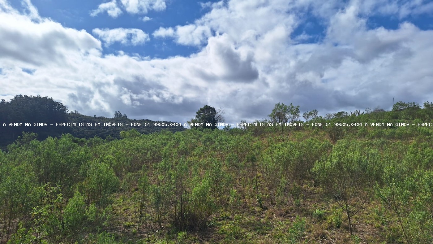 Sítio à venda com 2 quartos, 25000m² - Foto 6
