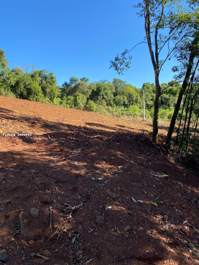 Terreno à venda, 3716m² - Foto 4
