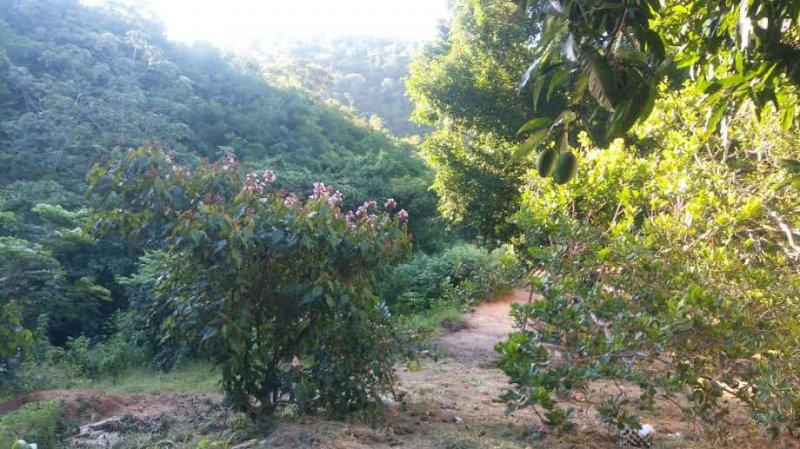Fazenda à venda, 773m² - Foto 15