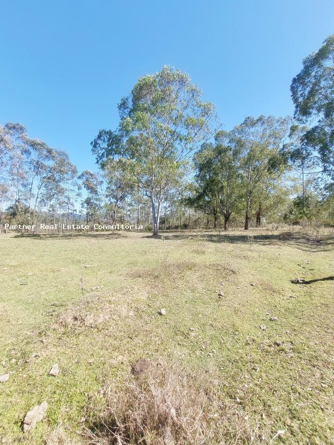 Chácara à venda com 4 quartos, 128462m² - Foto 4
