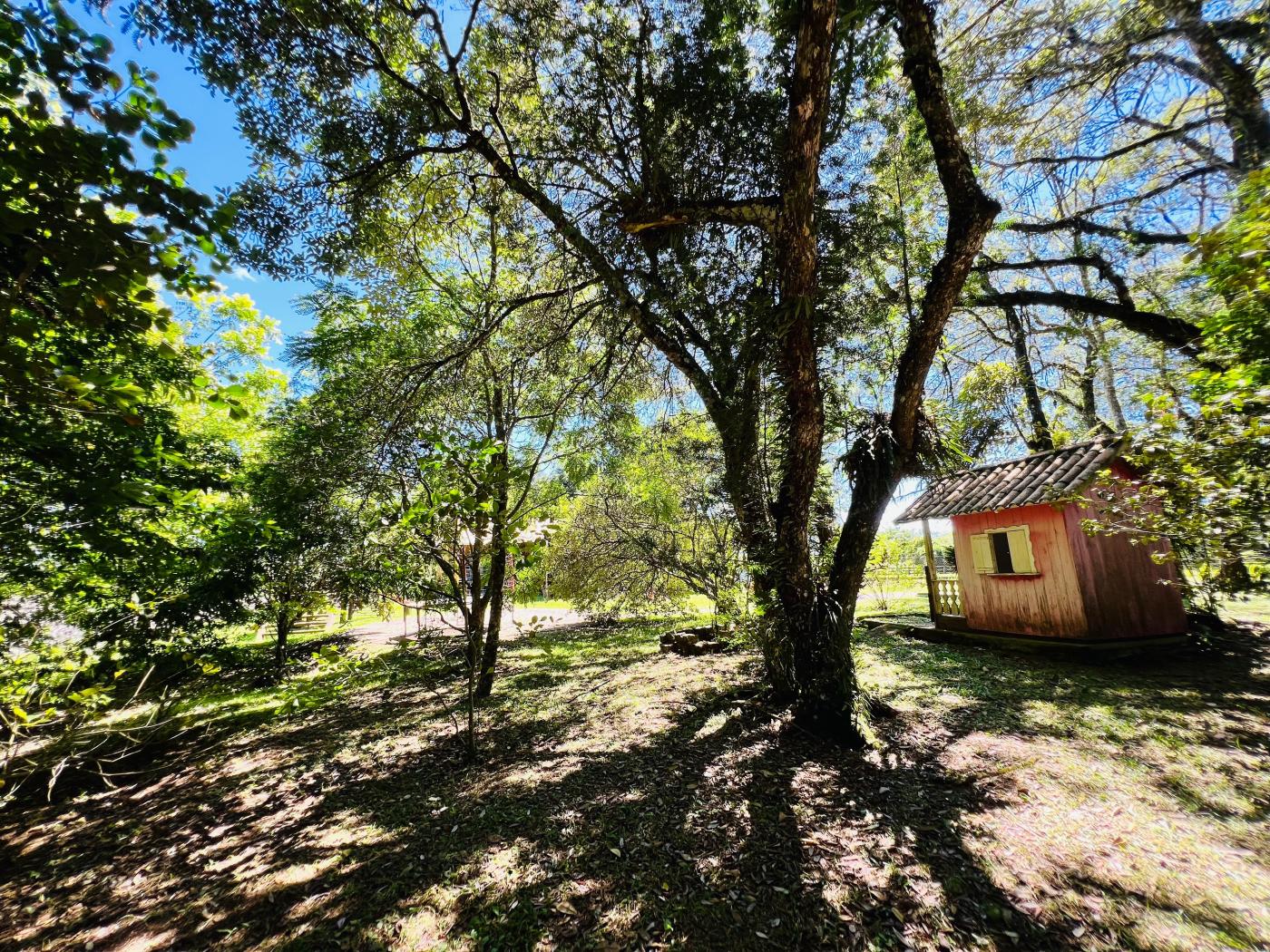 Chácara à venda, 6000m² - Foto 29