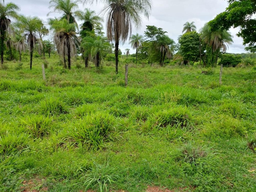 Fazenda à venda, 2575m² - Foto 19