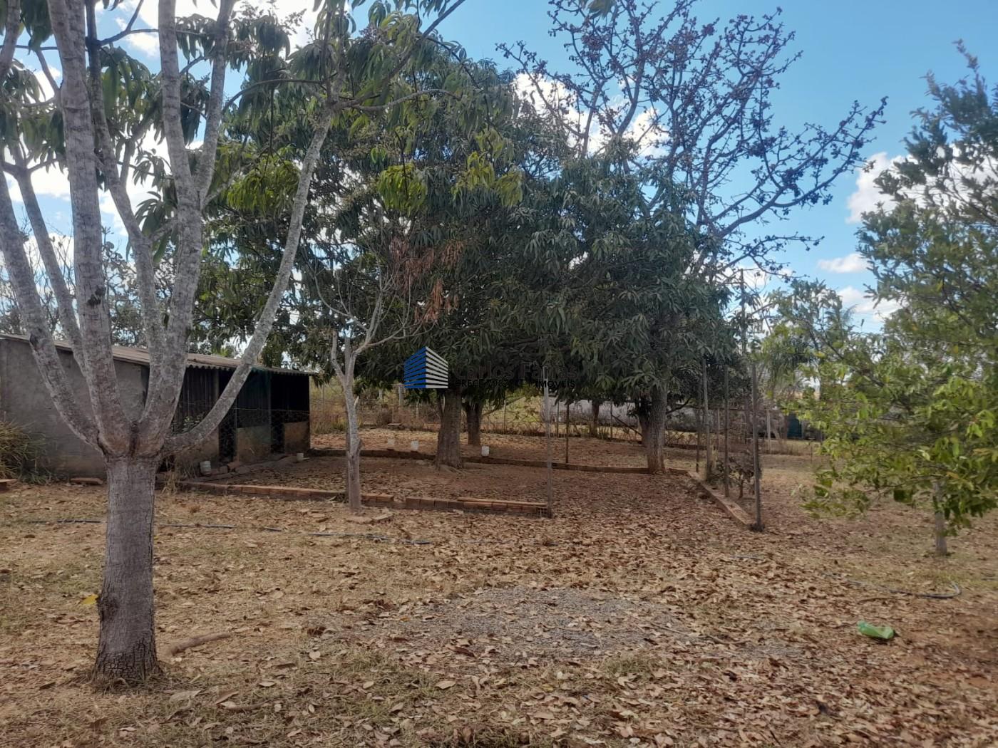 Chácara à venda com 4 quartos, 390m² - Foto 9