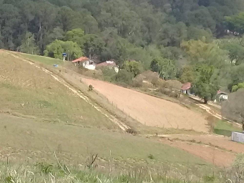 Sítio à venda, 10m² - Foto 2