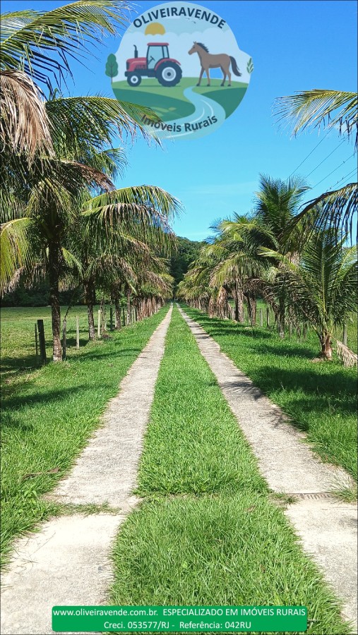 Fazenda à venda com 5 quartos, 96m² - Foto 23
