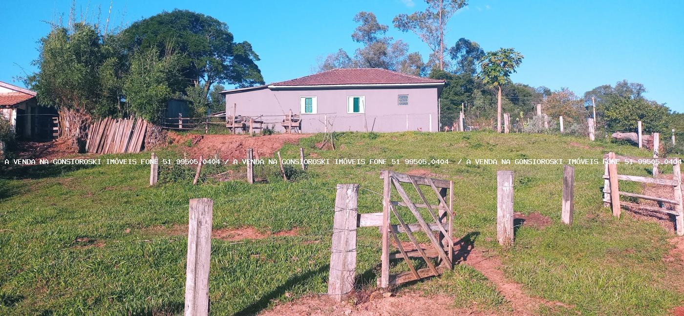 Fazenda à venda com 3 quartos, 55000m² - Foto 5