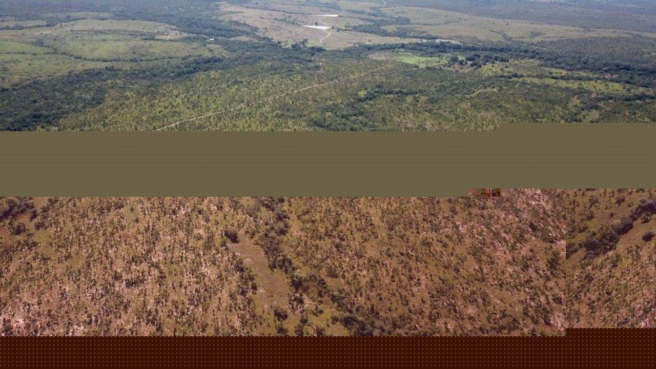 Fazenda à venda, 1m² - Foto 11