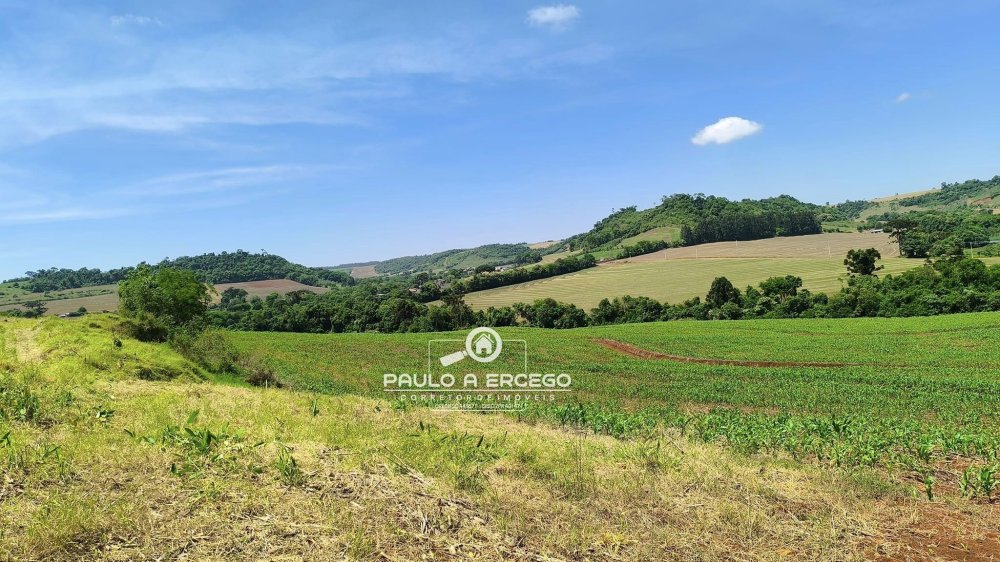 Sítio à venda, 34m² - Foto 23
