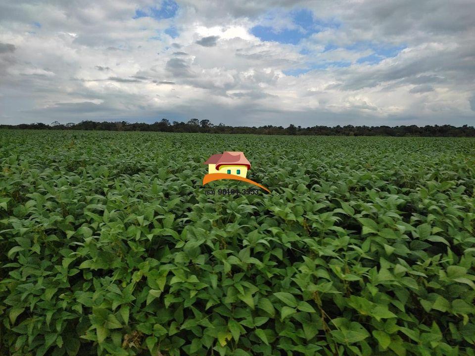 Fazenda à venda, 1m² - Foto 21