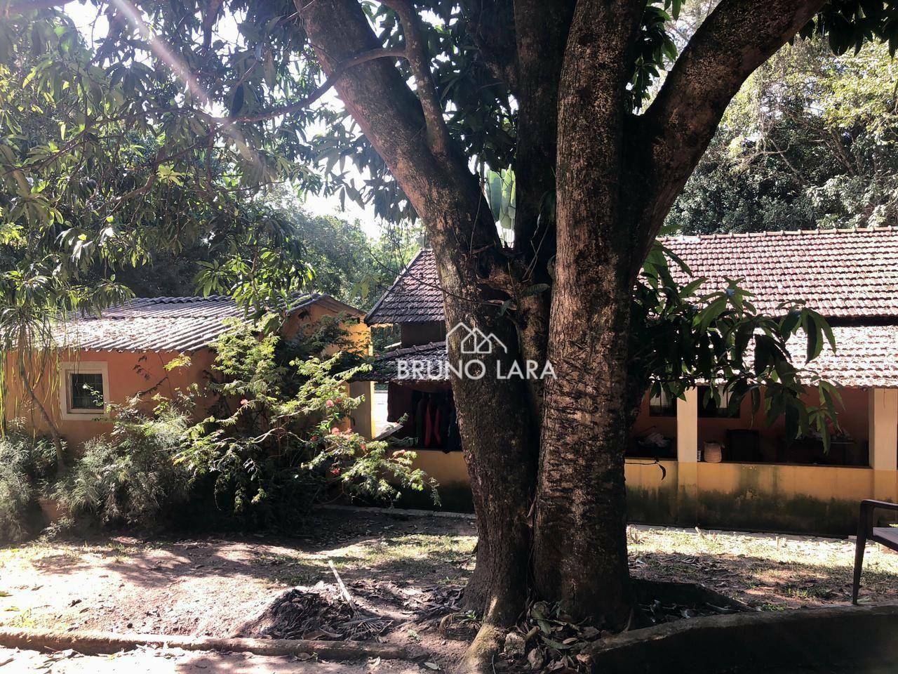 Sítio à venda com 3 quartos, 140m² - Foto 30