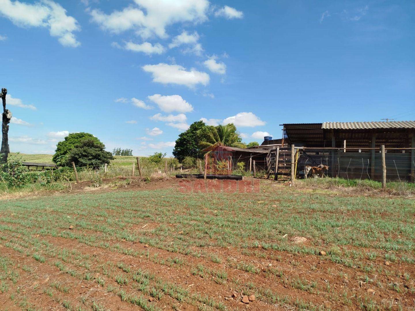 Sítio à venda com 3 quartos, 660m² - Foto 22