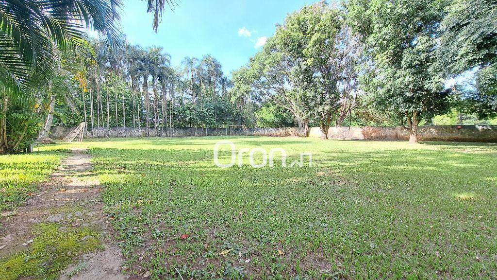 Chácara à venda com 4 quartos, 46000M2 - Foto 16