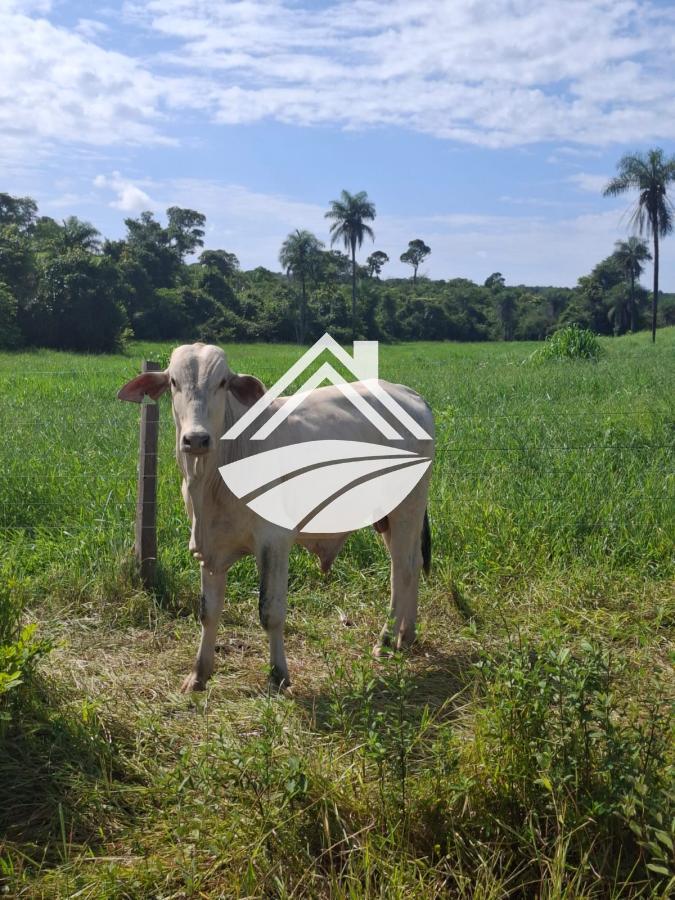 Fazenda à venda, 1m² - Foto 8