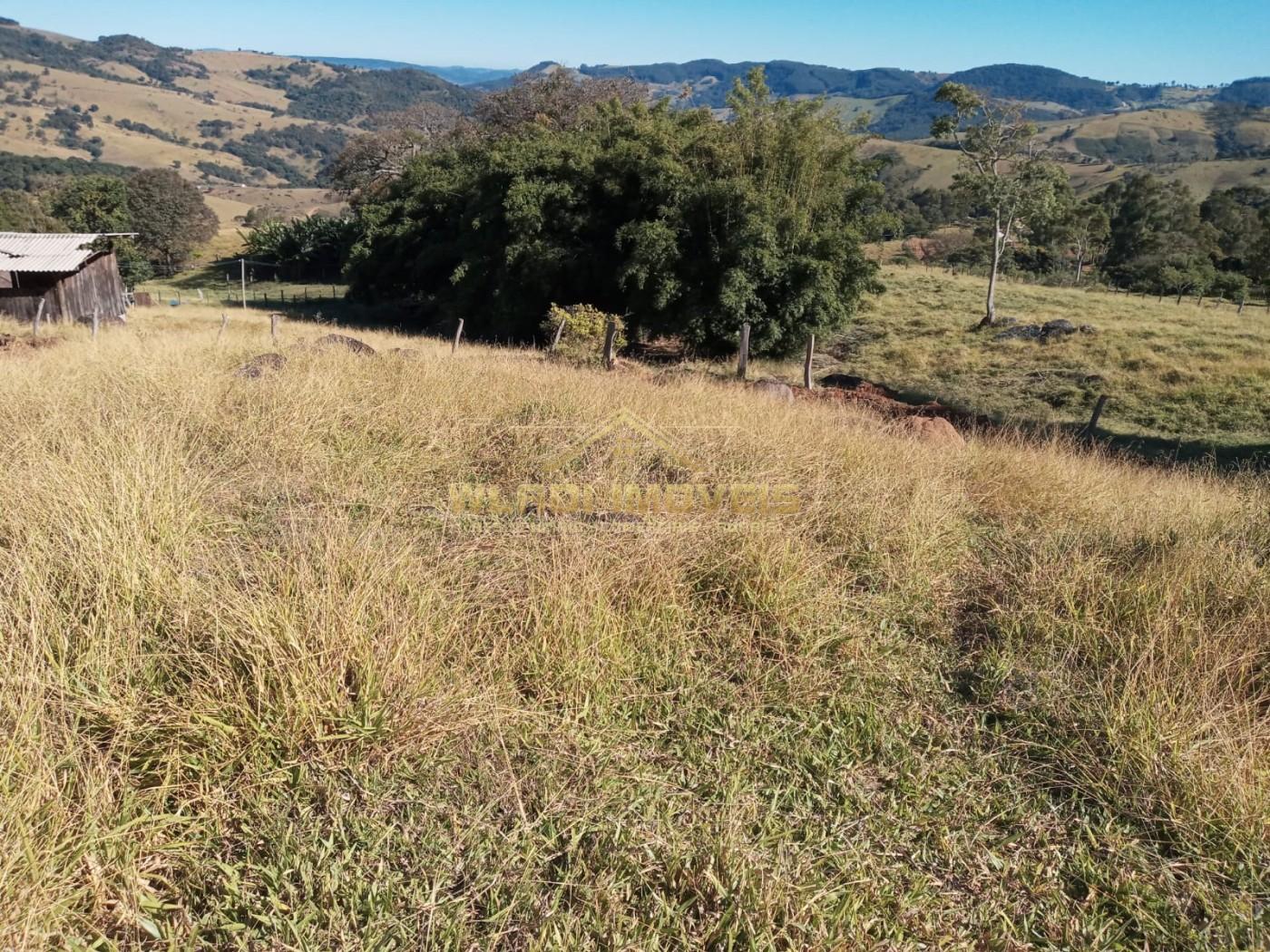 Sítio à venda, 7m² - Foto 19