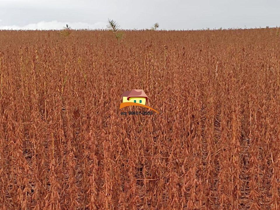 Fazenda à venda, 1m² - Foto 25