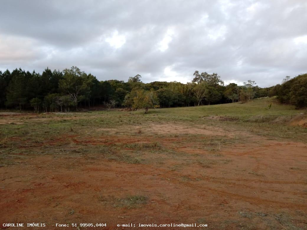 Loteamento e Condomínio à venda, 40000m² - Foto 6