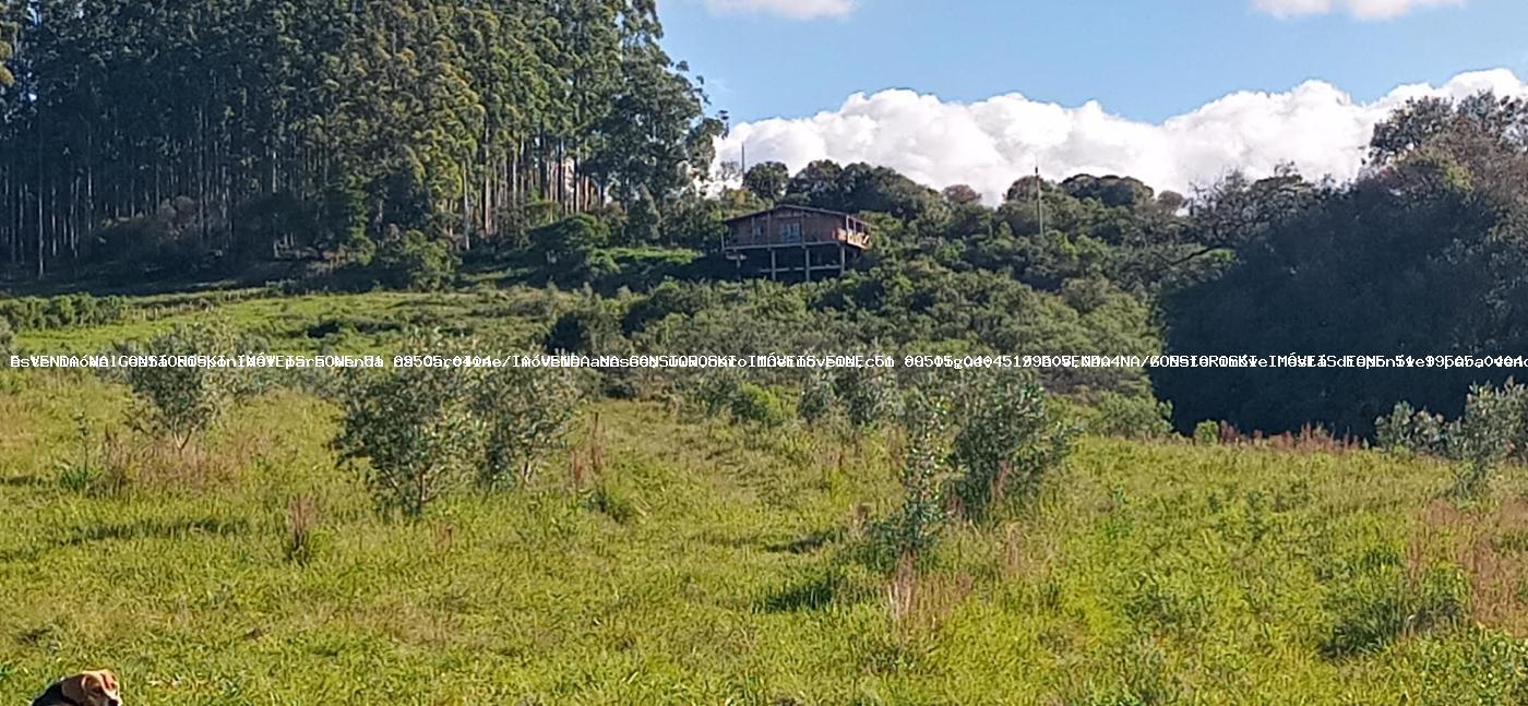 Sítio à venda com 3 quartos, 191120m² - Foto 22