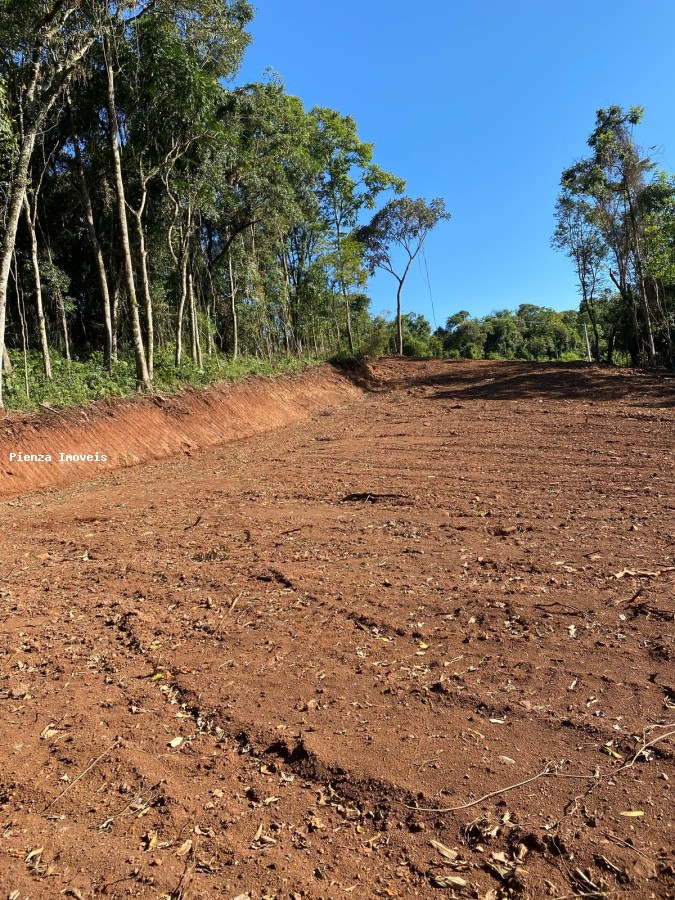 Terreno à venda, 3716m² - Foto 3