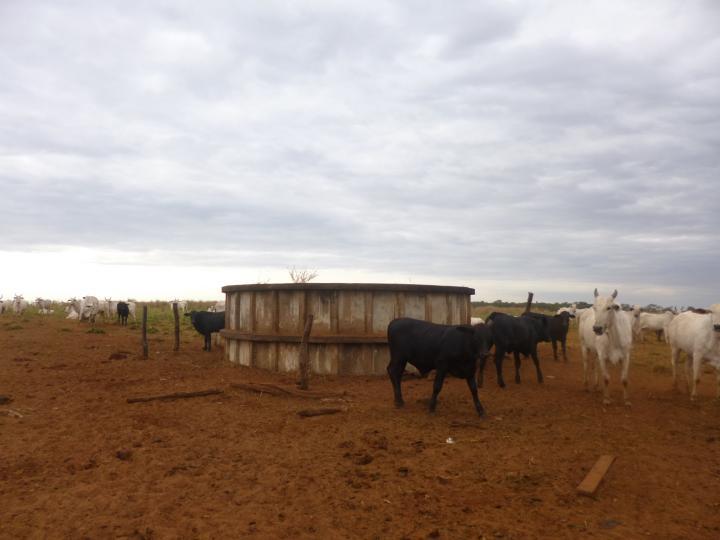Fazenda à venda, 7526m² - Foto 4