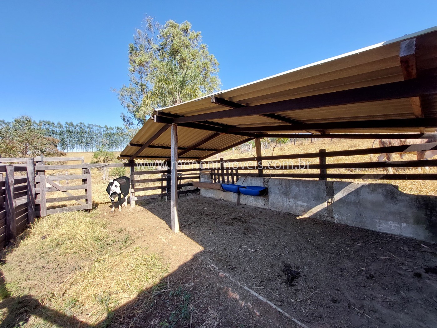 Sítio à venda com 2 quartos, 24000m² - Foto 10