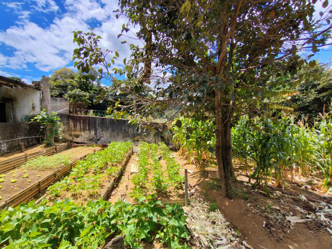 Terreno à venda, 900m² - Foto 5