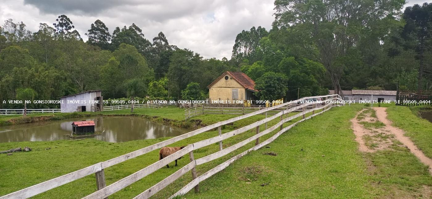 Chácara à venda com 4 quartos, 130000m² - Foto 10