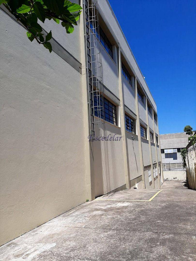 Prédio Inteiro para alugar, 903m² - Foto 6