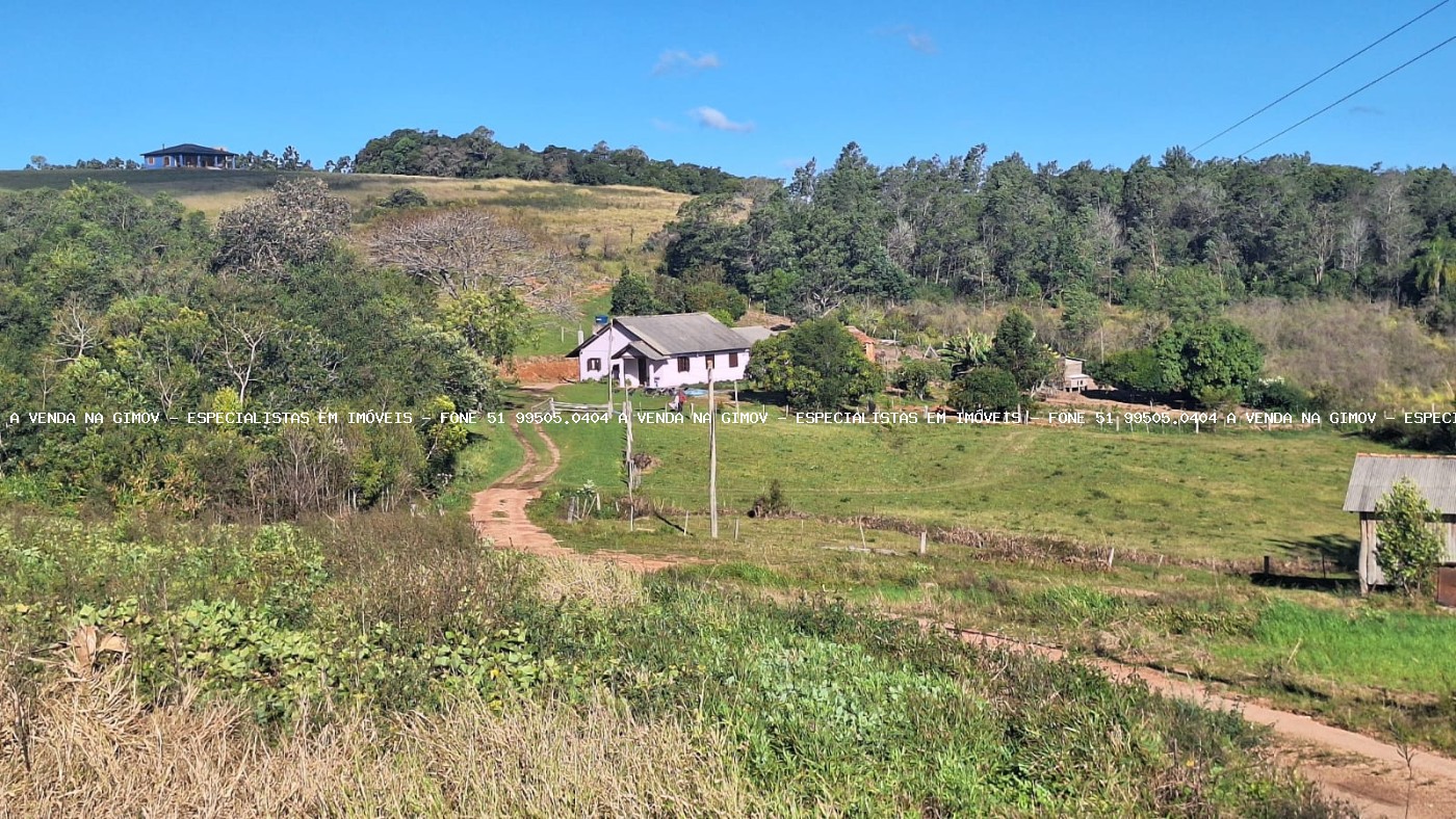 Sítio à venda com 4 quartos, 46500m² - Foto 8
