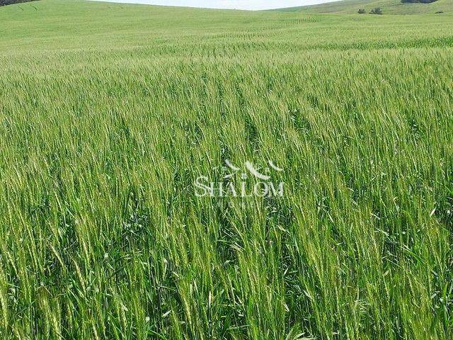 Sítio à venda, 290400M2 - Foto 1