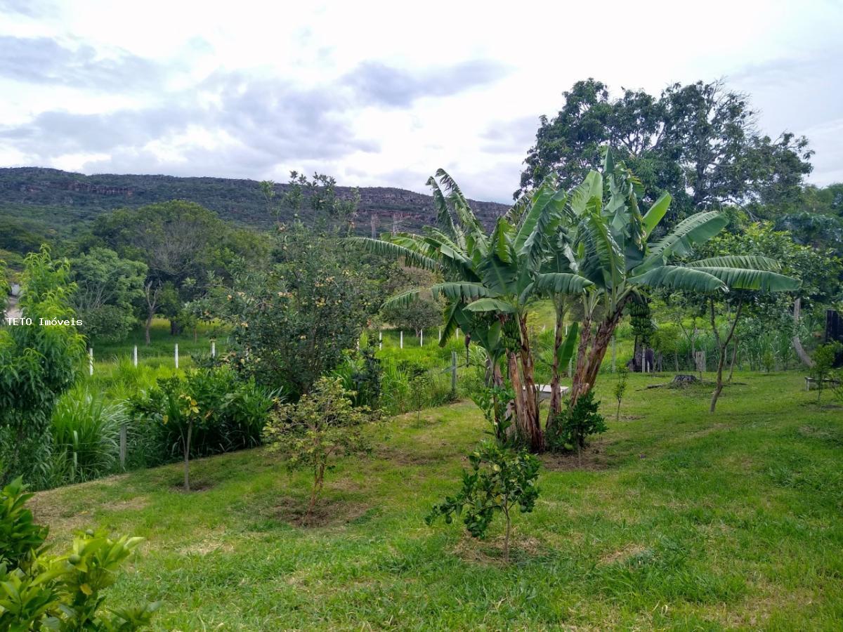 Sítio à venda com 4 quartos, 13500m² - Foto 11