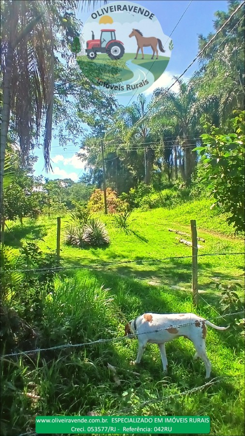 Fazenda à venda com 5 quartos, 96m² - Foto 18