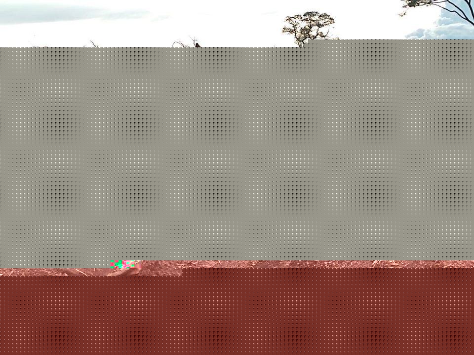 Fazenda à venda, 1m² - Foto 5