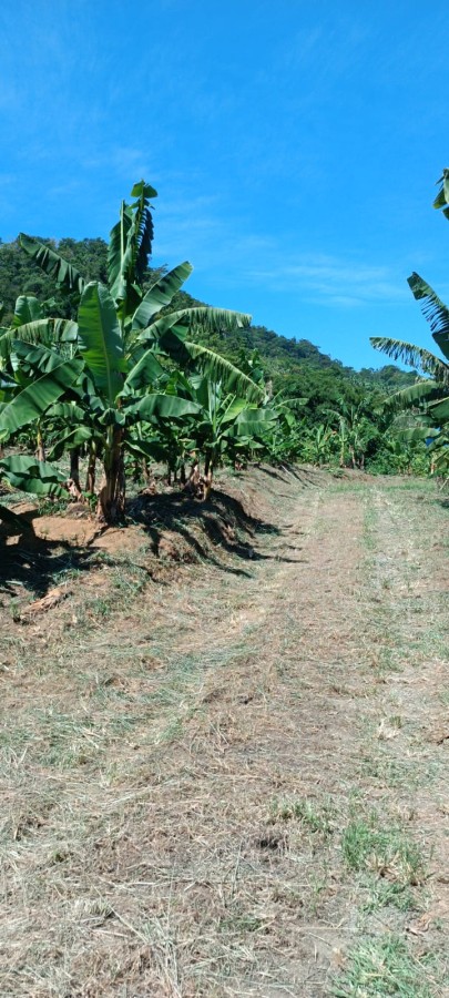 Fazenda à venda, 77m² - Foto 8