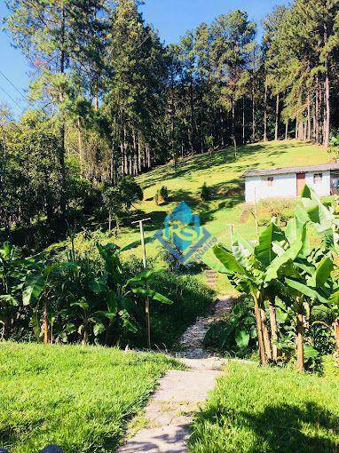 Chácara à venda com 2 quartos, 4000M2 - Foto 6