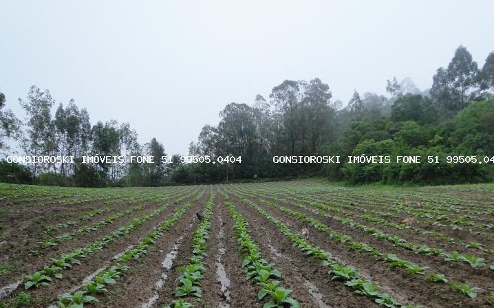 Sítio à venda com 3 quartos, 140000m² - Foto 7