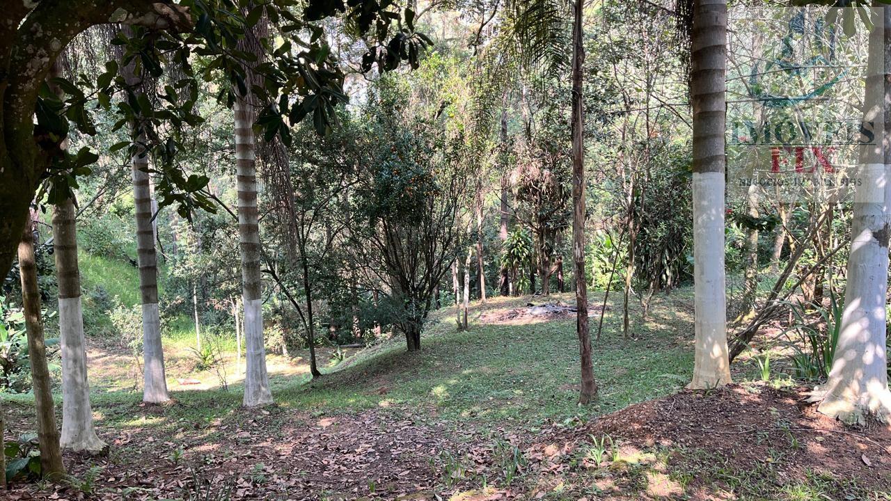 Sítio à venda com 3 quartos, 300m² - Foto 3
