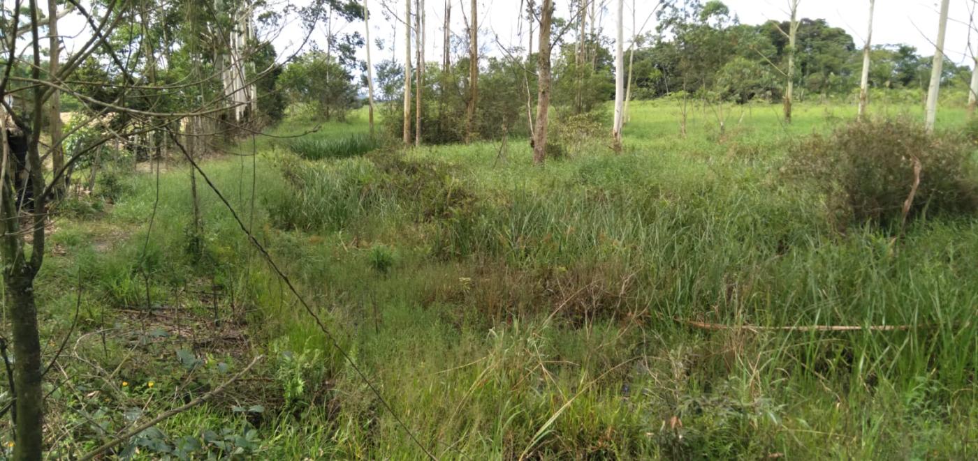 Chácara à venda, 22000m² - Foto 9