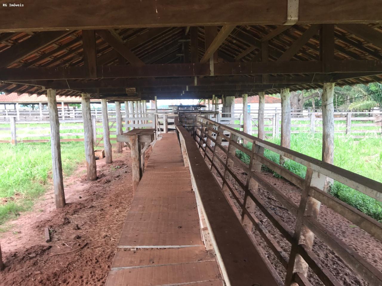 Fazenda à venda com 3 quartos, 3581600m² - Foto 6