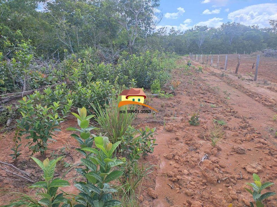 Fazenda à venda, 1m² - Foto 4
