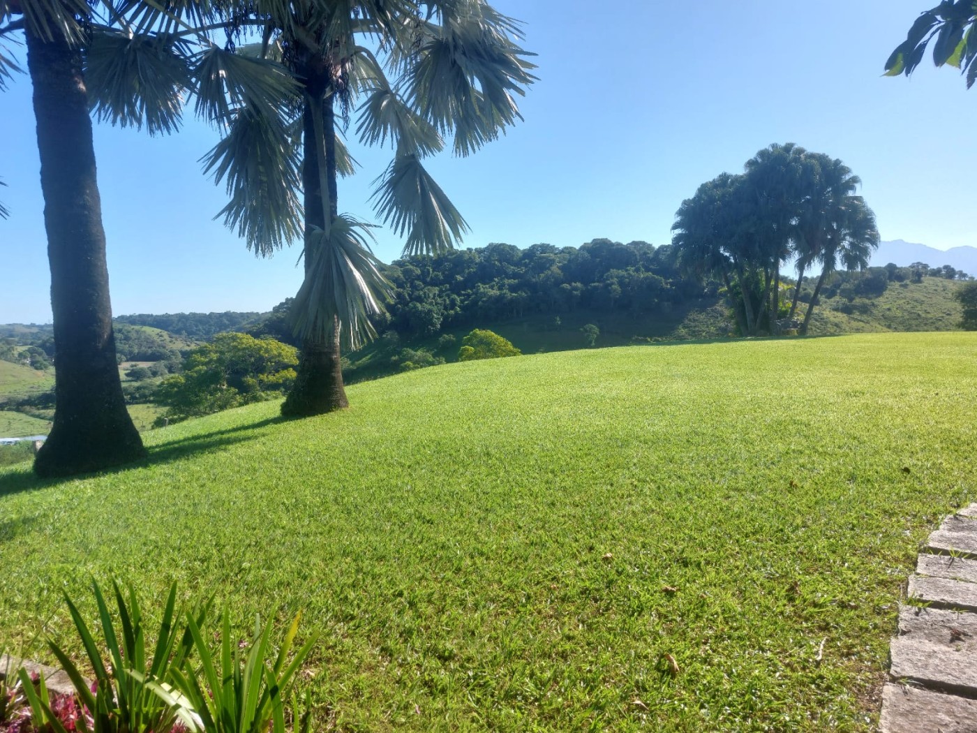 Fazenda à venda com 4 quartos, 34m² - Foto 2